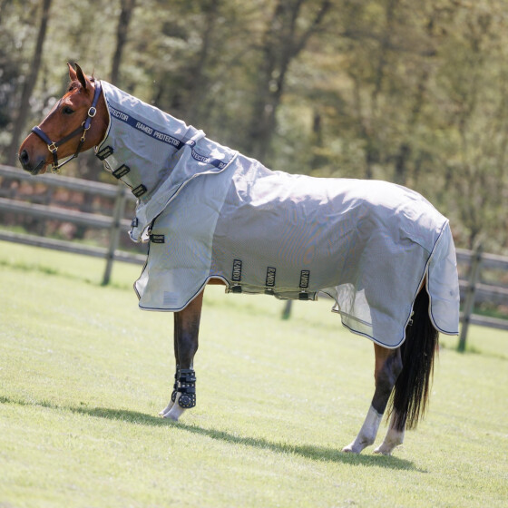 %% Horseware Fliegendecke Rambo Protector, extrem robust und widerstandsfähig mit UV Schutz.,abnehmbares Halsteil, absorbiert Feuchtigkeit,Pferde schwitzen nicht so schnell 125,130,140,145,155,160 outlet